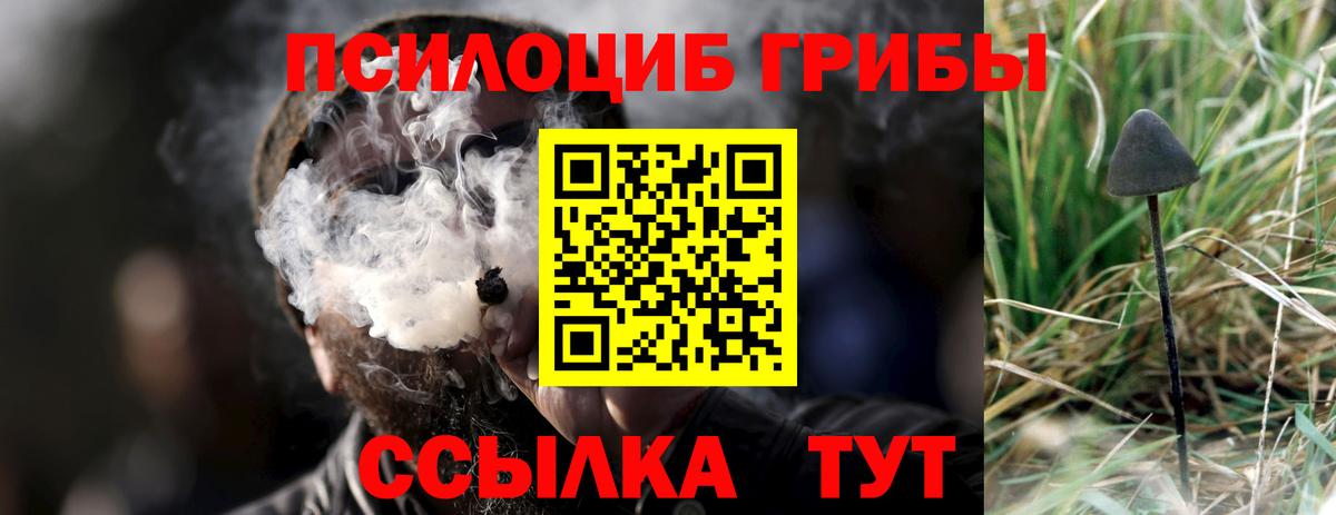 Псилоцибиновые грибы мухоморы Переславль-Залесский